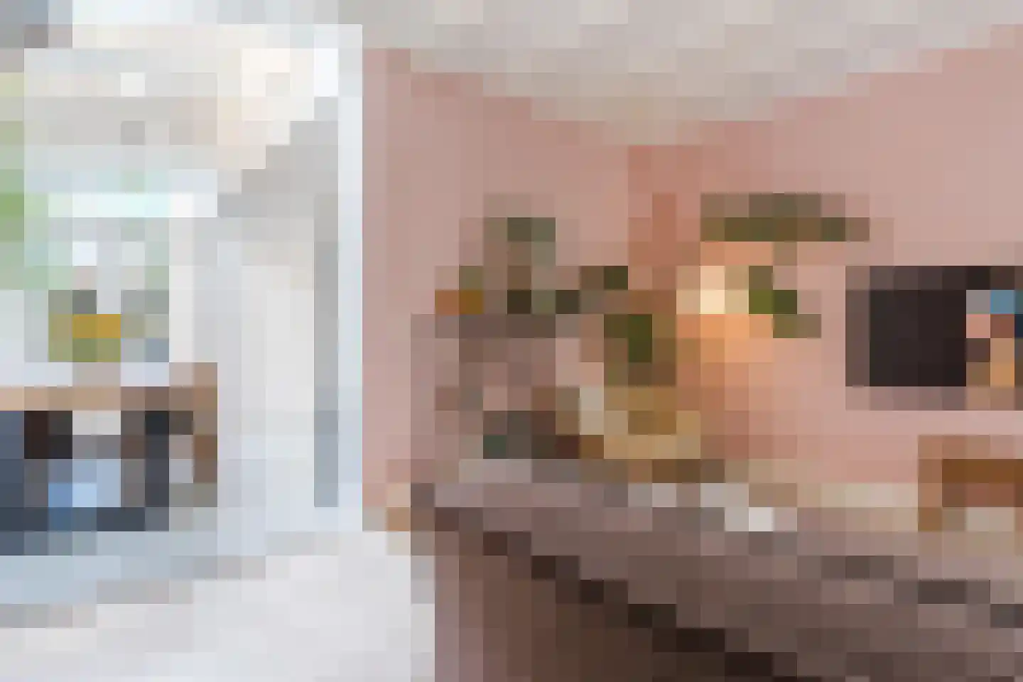 Hezelaarstraat 8 Veghel thumbnail 11