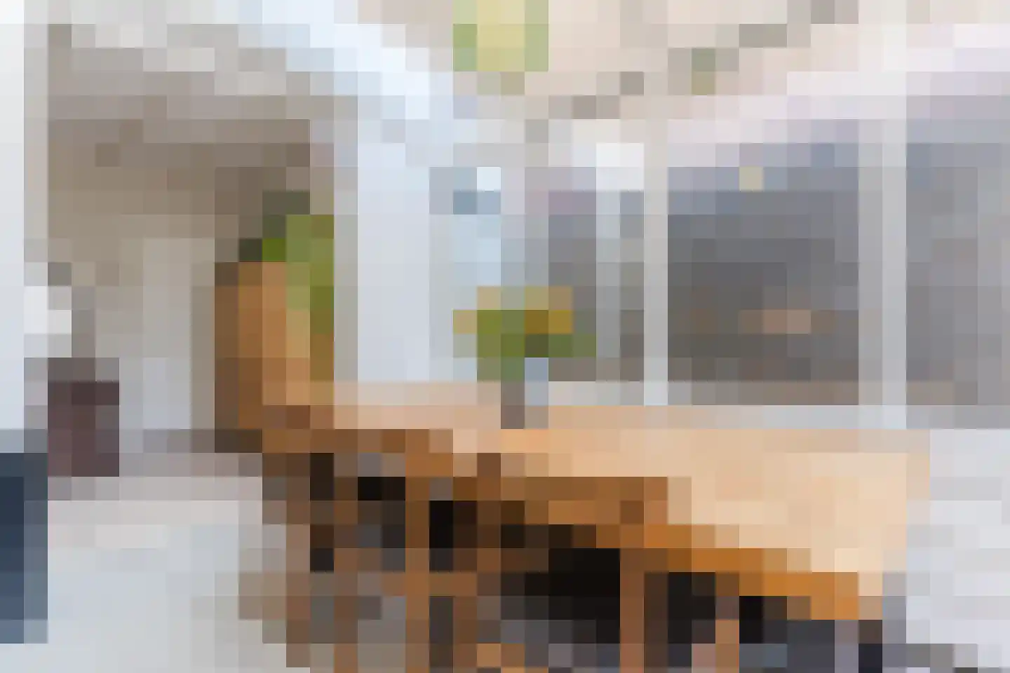 Hezelaarstraat 8 Veghel thumbnail 13