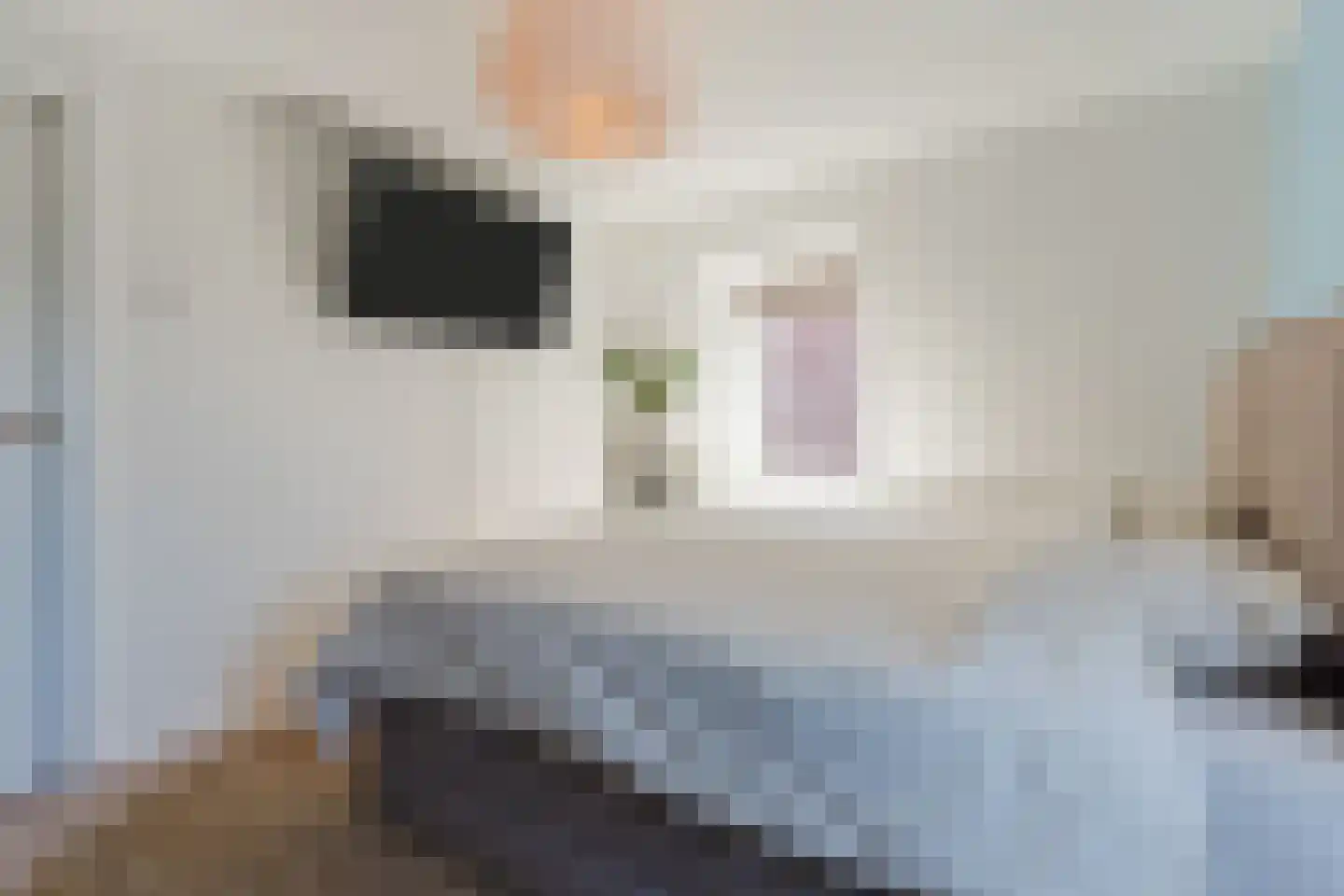 Hezelaarstraat 8 Veghel thumbnail 21