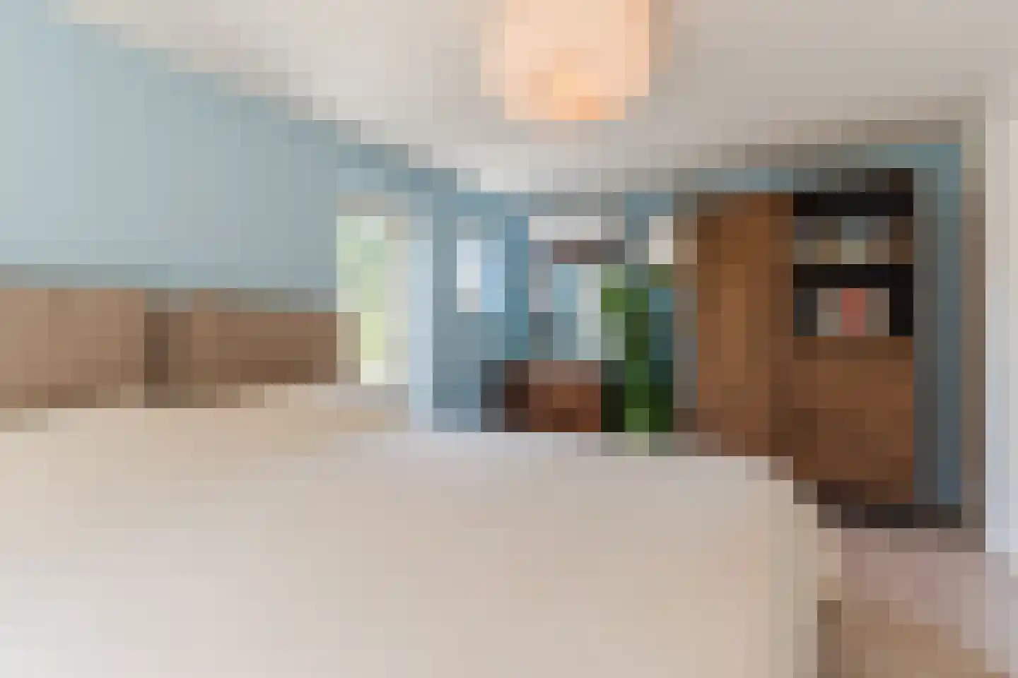 Hezelaarstraat 8 Veghel thumbnail 22