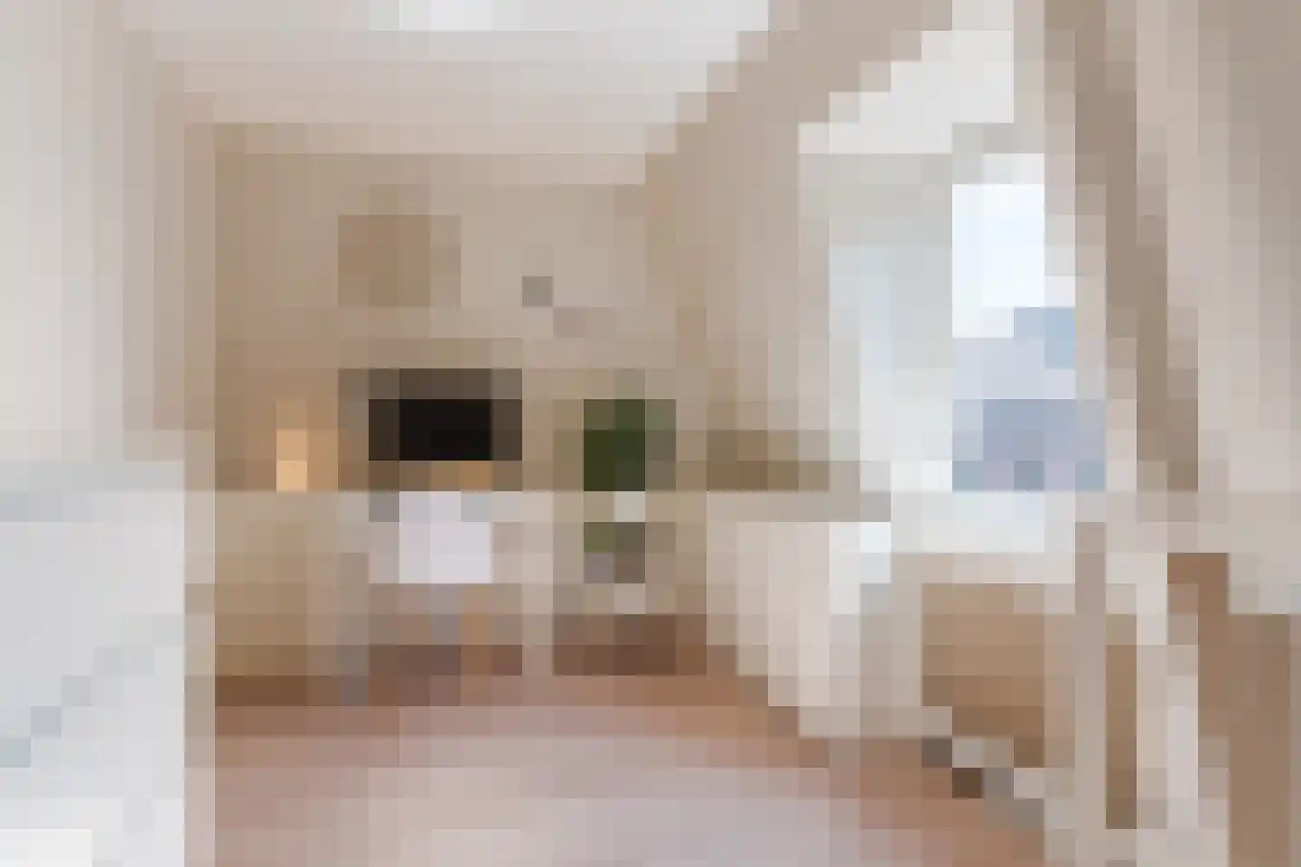 Hezelaarstraat 8 Veghel thumbnail 26