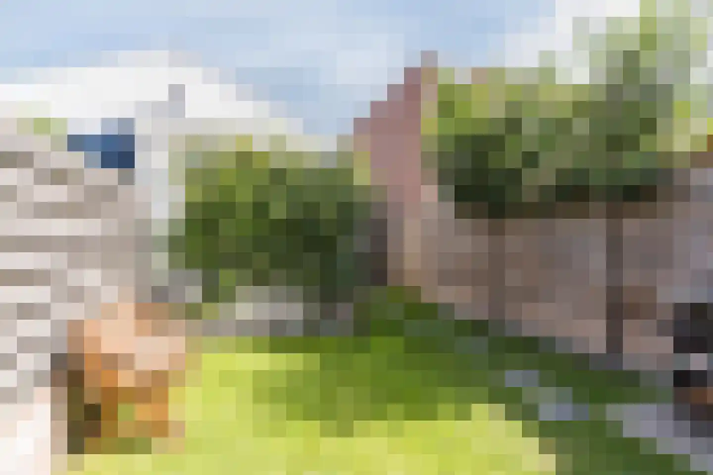 Hezelaarstraat 8 Veghel thumbnail 30