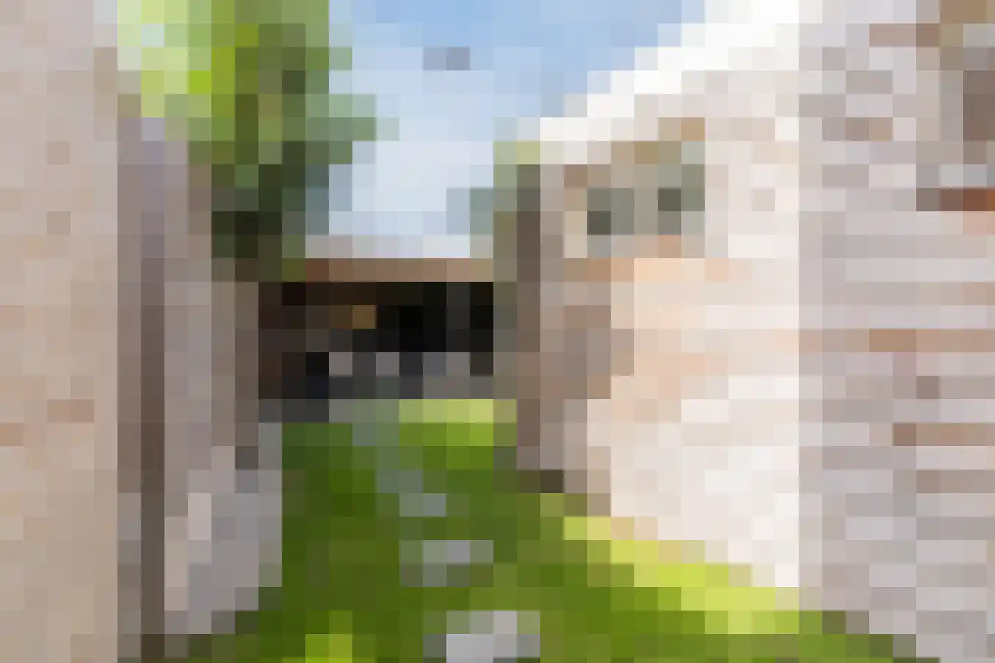Hezelaarstraat 8 Veghel thumbnail 31