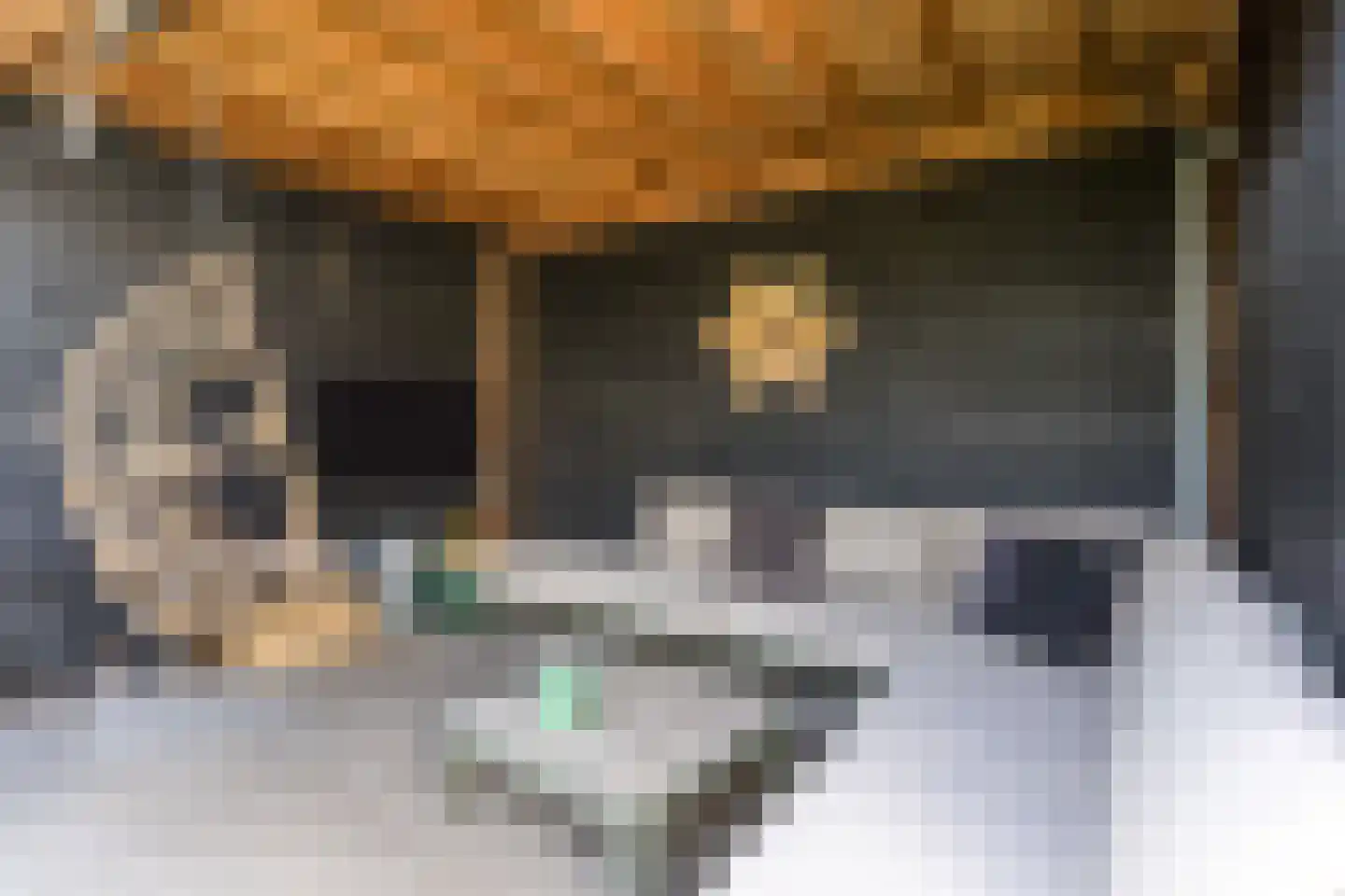 Hezelaarstraat 8 Veghel thumbnail 34