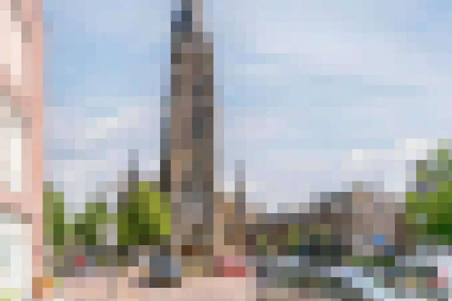 Hezelaarstraat 8 Veghel thumbnail 39