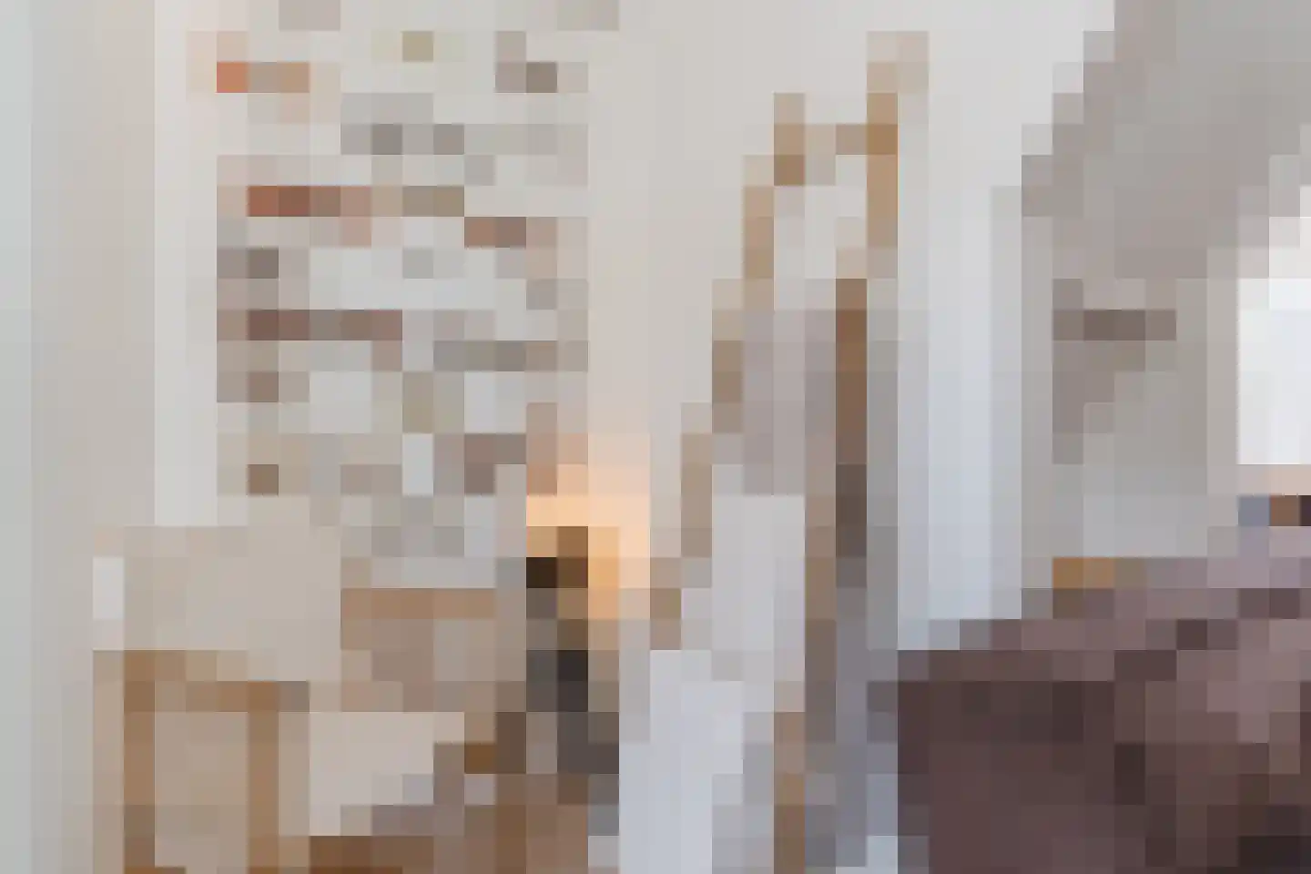 Hezelaarstraat 8 Veghel thumbnail 5