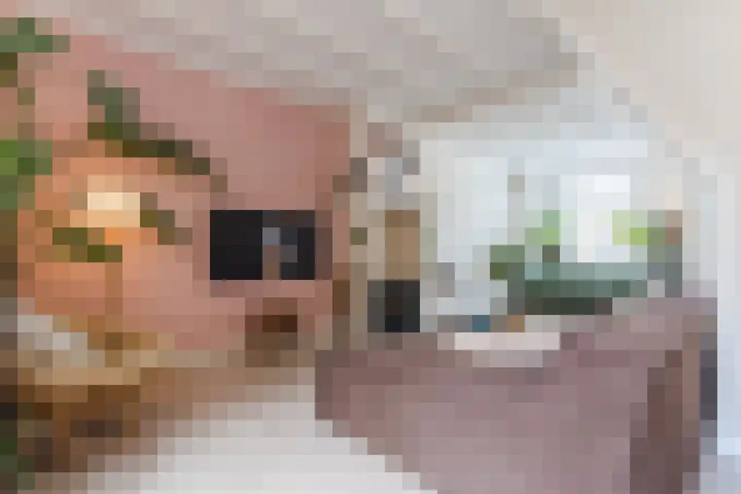 Hezelaarstraat 8 Veghel thumbnail 9