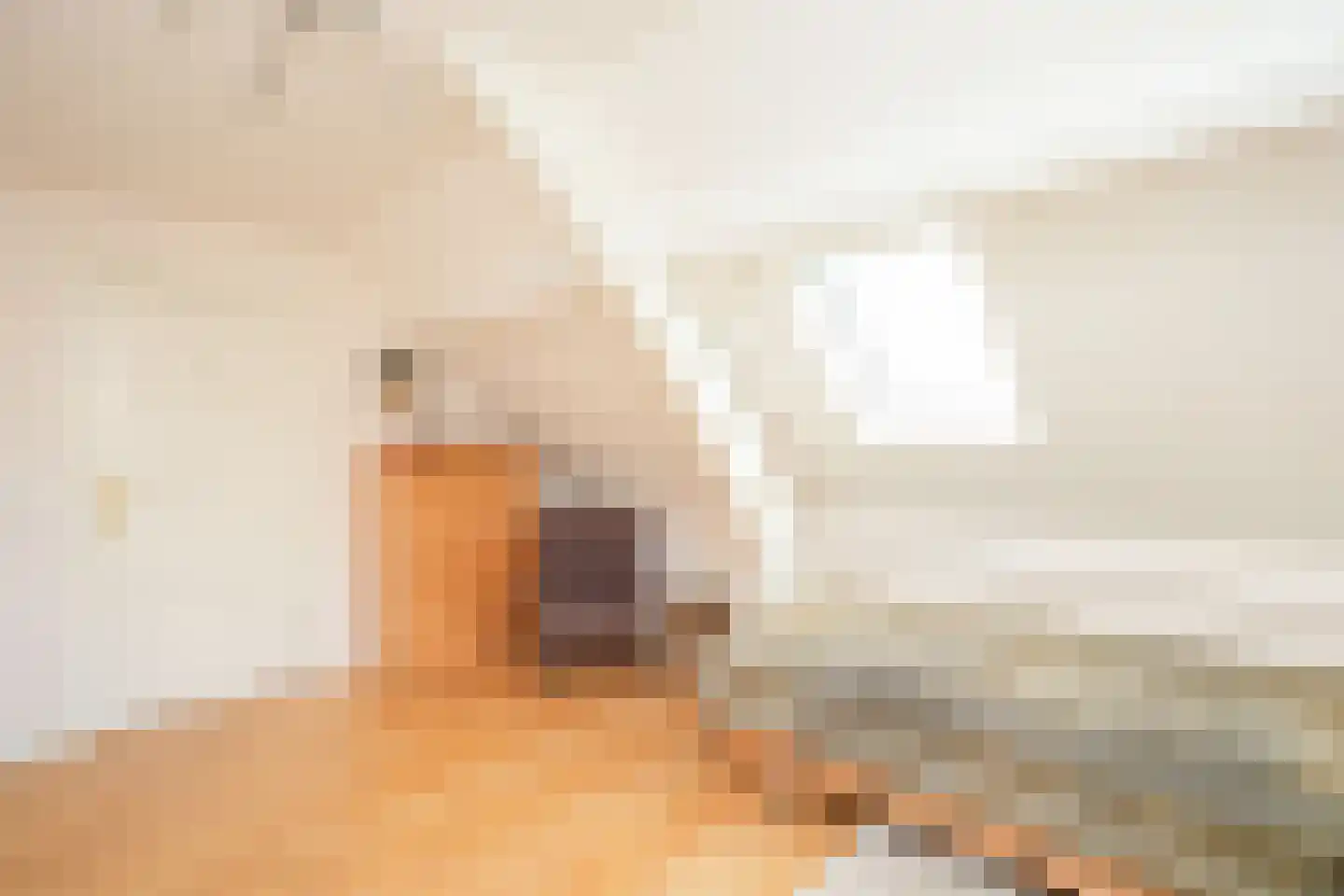 Hezelstraat 17 Ooij thumbnail 26