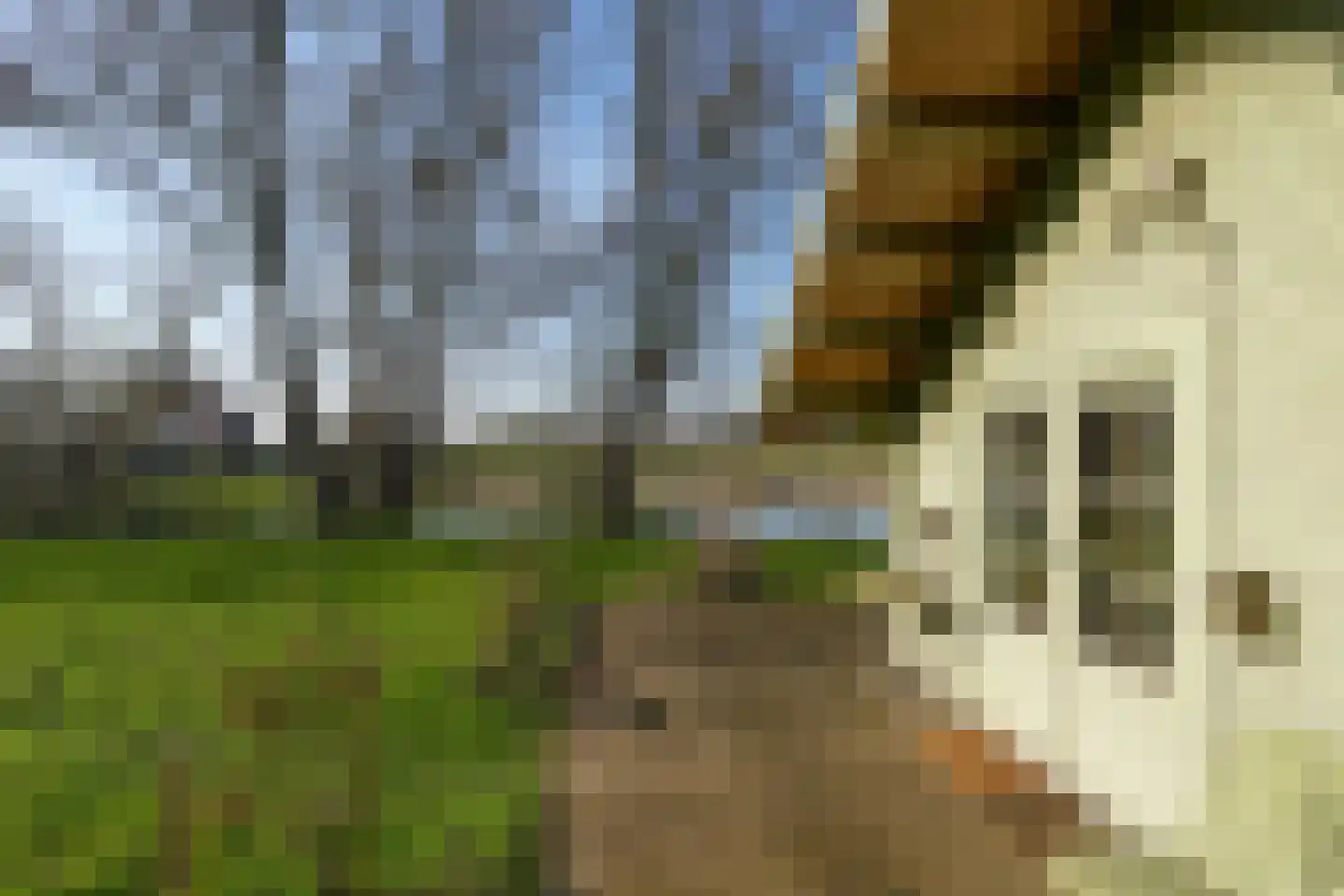 Hezelstraat 17 Ooij thumbnail 32