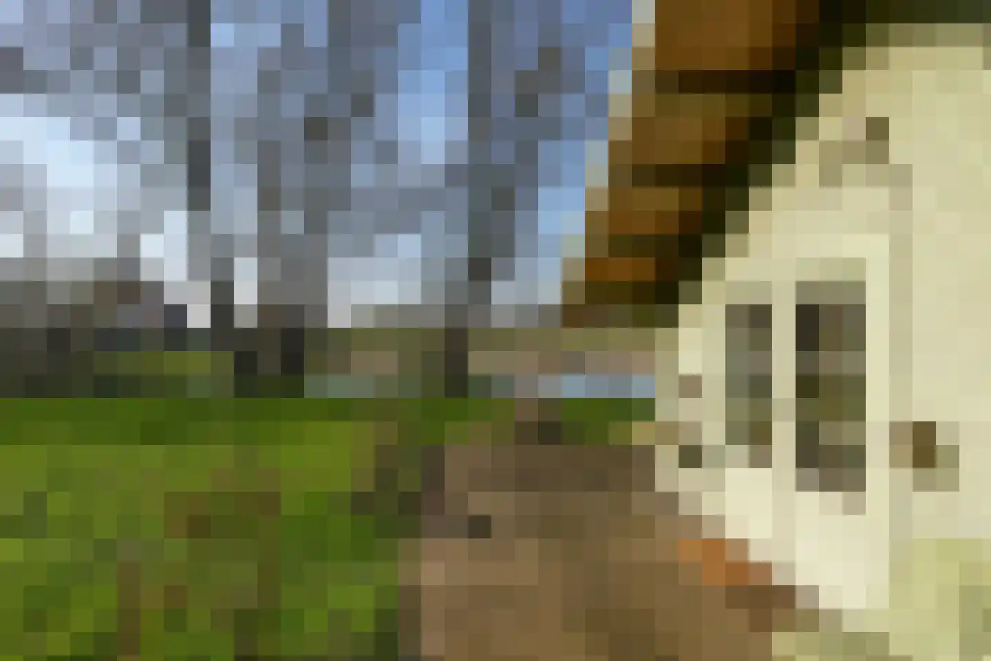 Hezelstraat 17 Ooij thumbnail 37