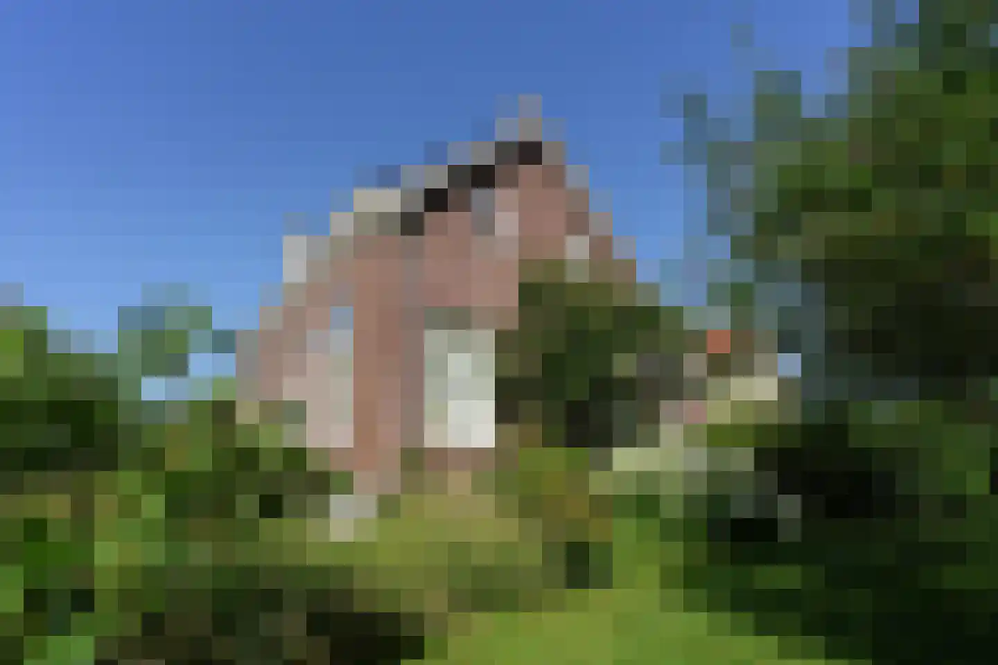 Hezelstraat 17 Ooij thumbnail 51