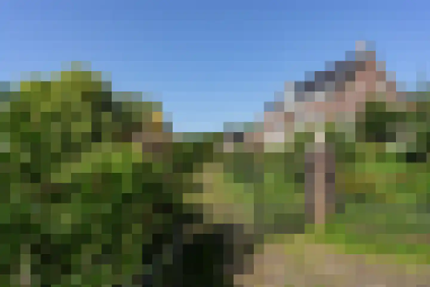 Hezelstraat 17 Ooij thumbnail 54