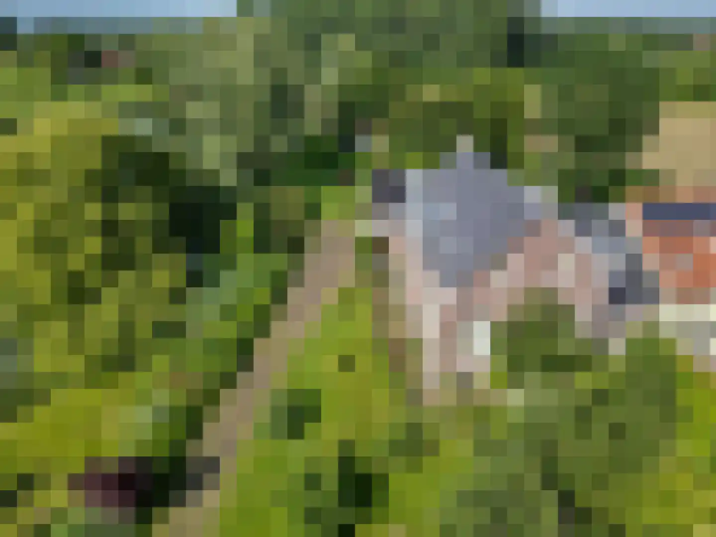 Hezelstraat 17 Ooij thumbnail 6