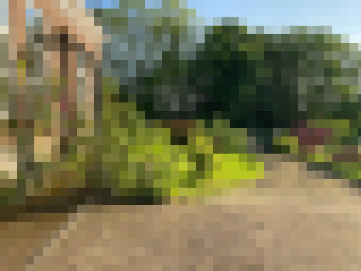 Hezelstraat 17 Ooij thumbnail 7