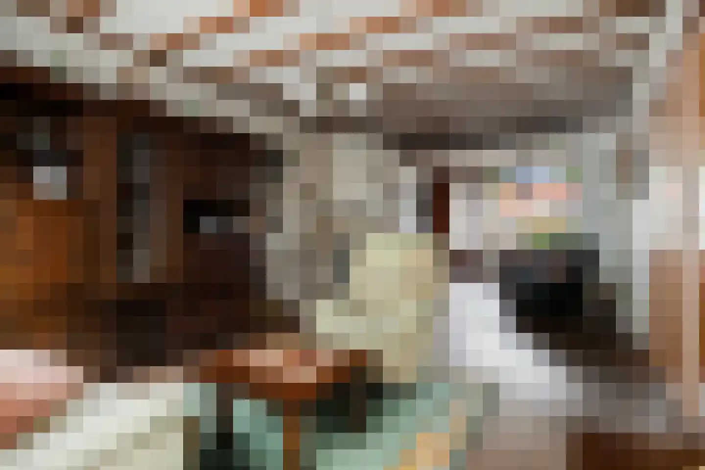 Hezelstraat 3 Erp thumbnail 10