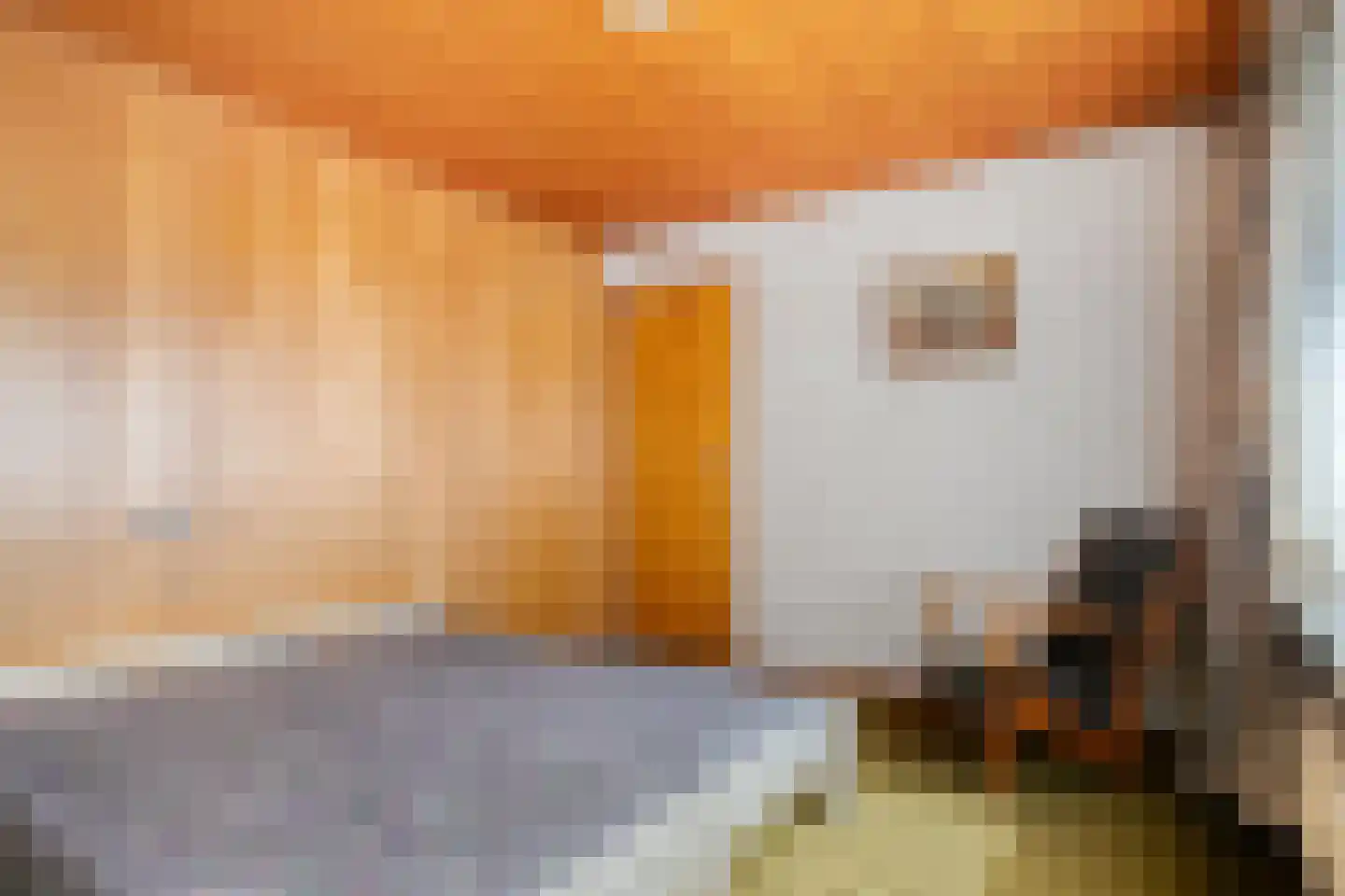 Hezelstraat 3 Erp thumbnail 21