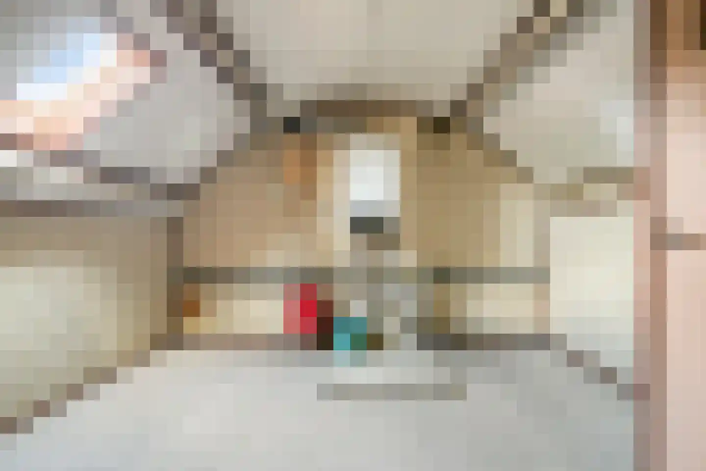 Hezelstraat 3 Erp thumbnail 27