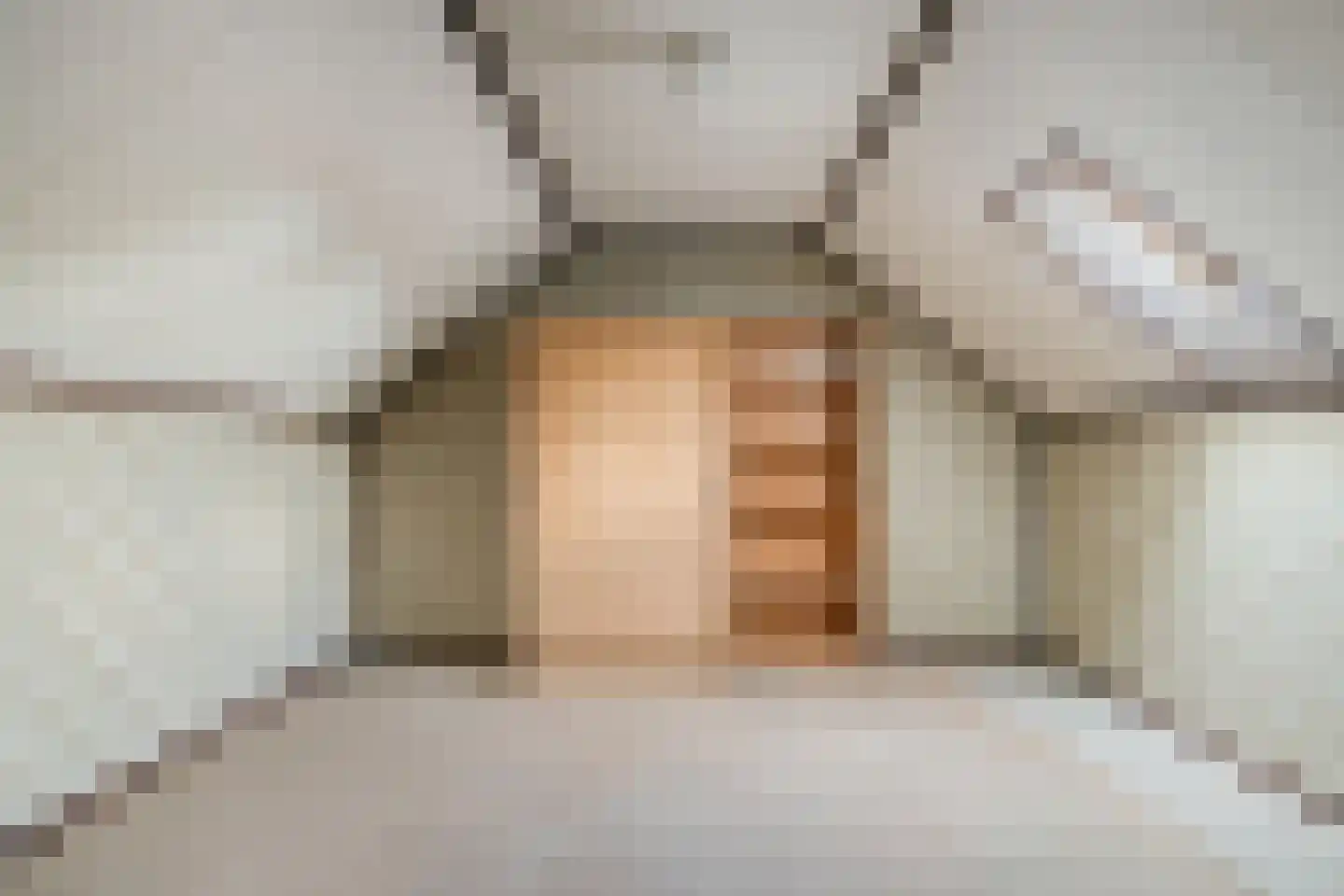 Hezelstraat 3 Erp thumbnail 28
