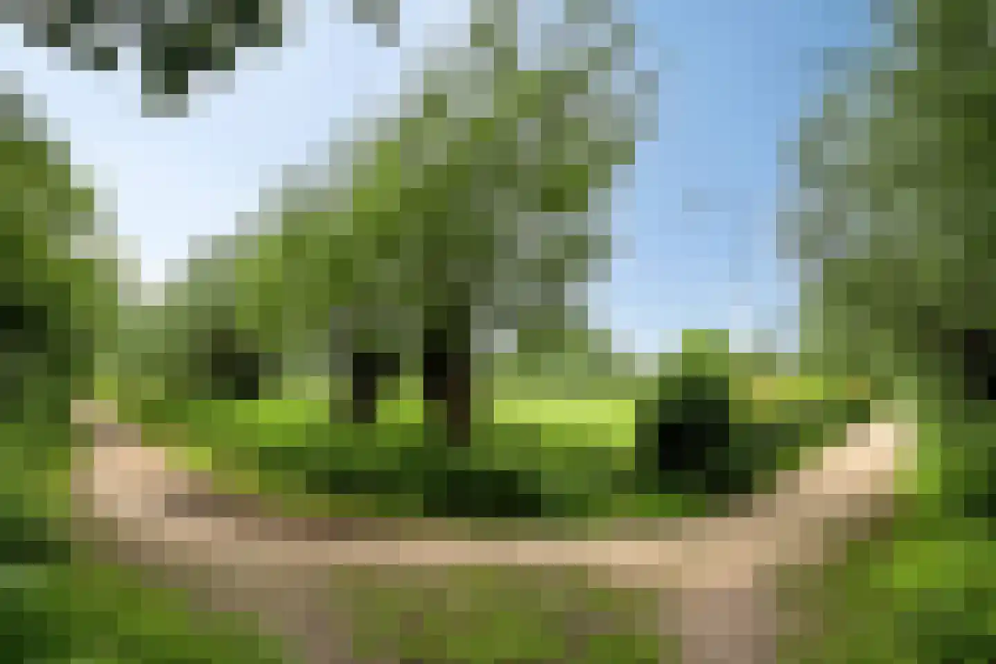 Hezelstraat 3 Erp thumbnail 34
