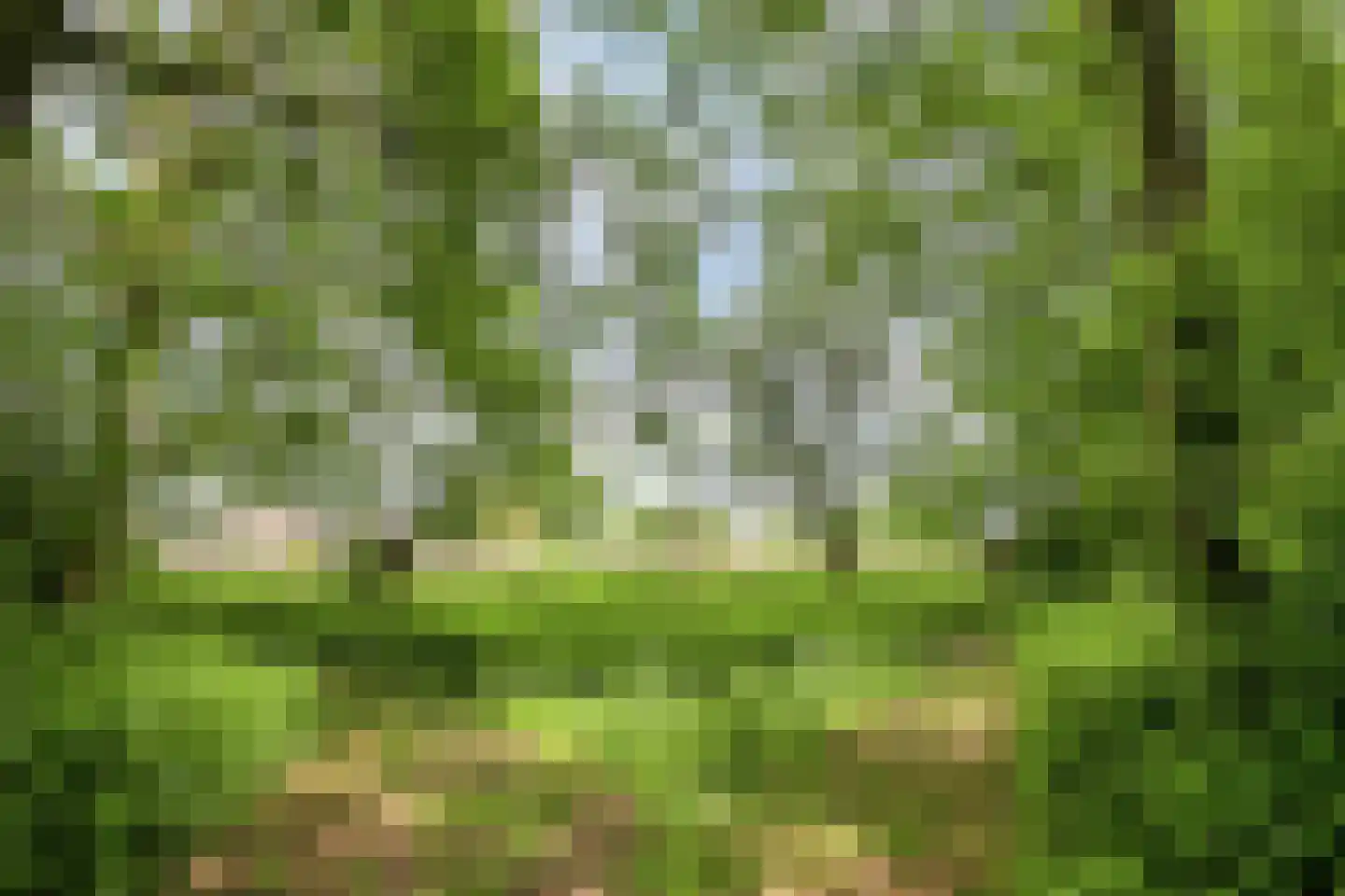 Hezelstraat 3 Erp thumbnail 35