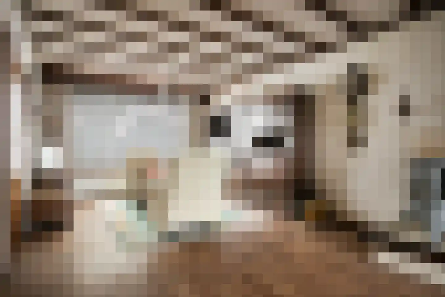 Hezelstraat 3 Erp thumbnail 8