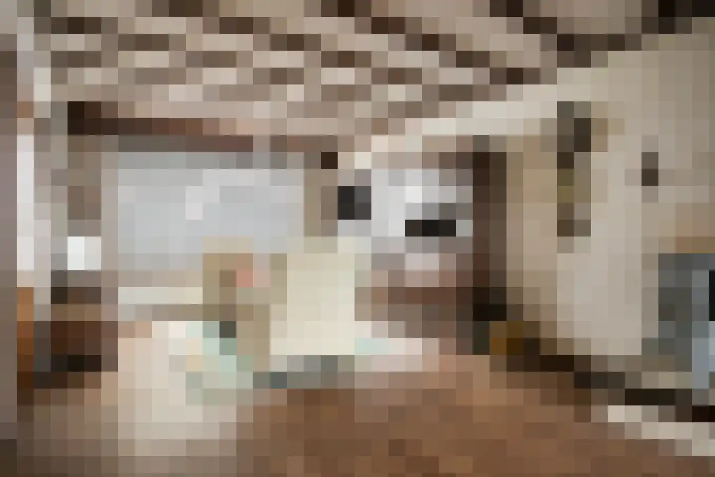 Hezelstraat 3 Erp thumbnail 9