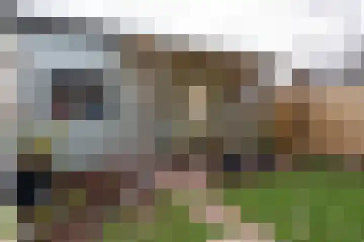 Hezenbergerweg 17 Hattem thumbnail 36