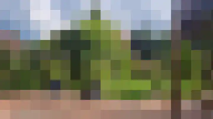 Hezenbergerweg 17 Hattem thumbnail 37