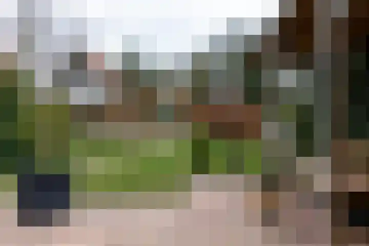 Hezenbergerweg 17 Hattem thumbnail 5