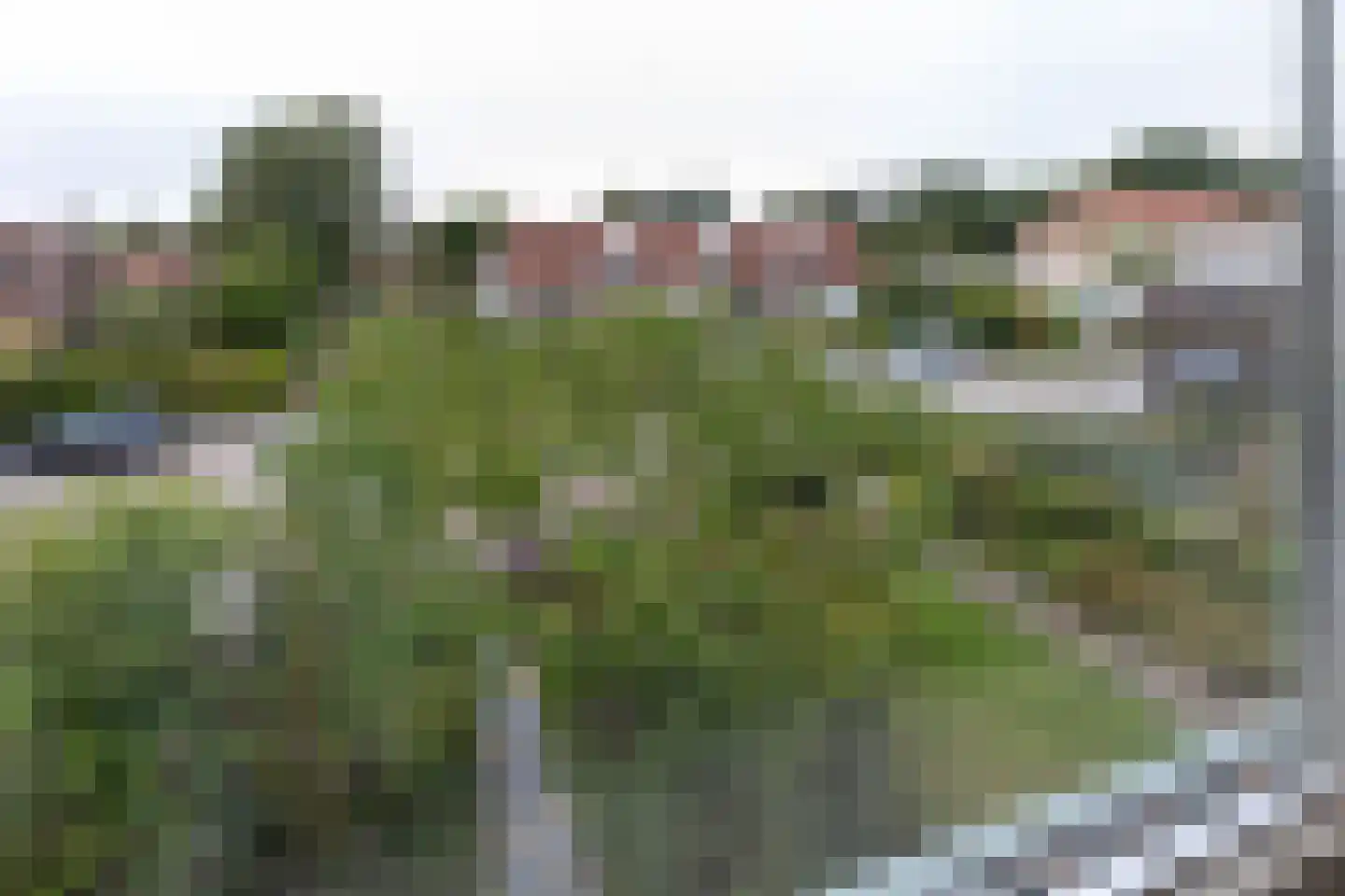 Hezenbergerweg 45 Hattem thumbnail 21