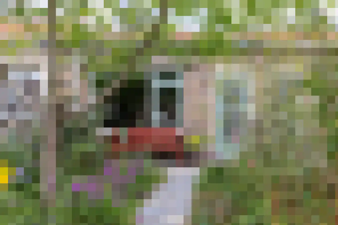 Hezenbergerweg 45 Hattem thumbnail 6