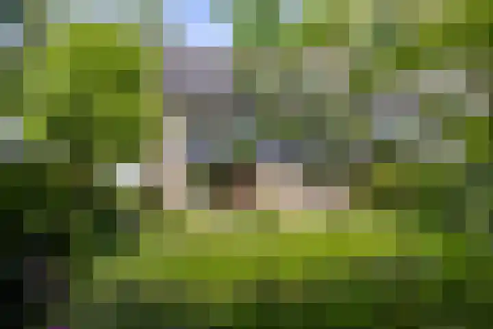 Hezenbergerweg 58 Hattem thumbnail 34