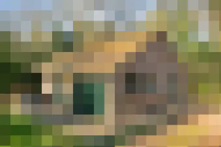 Hezenes 31 in Diever