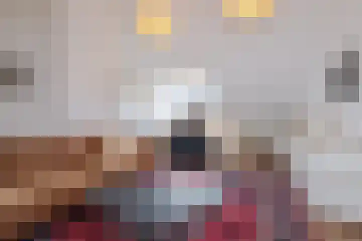 Hezenes 31 Diever thumbnail 15