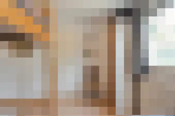Hezenes 31 Diever thumbnail 15