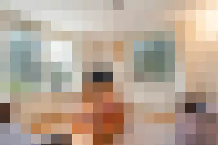 Hezenes 31 Diever thumbnail 20