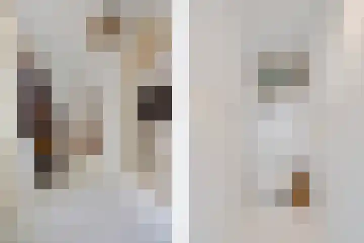 Hezenes 31 Diever thumbnail 25