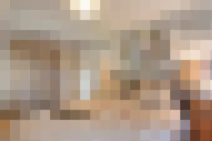 Hezenes 31 Diever thumbnail 25