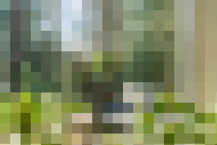 Hezenes 31 Diever thumbnail 29