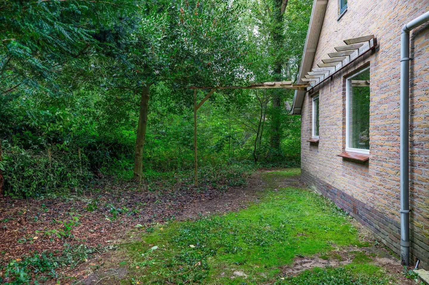Hezenes 31 Diever thumbnail 29