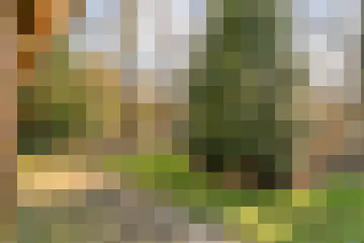 Hezenes 31 Diever thumbnail 31