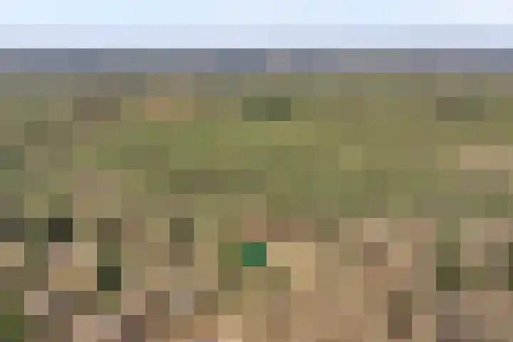 Hezenes 31 Diever thumbnail 5