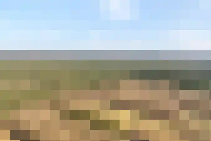 Hezenes 31 Diever thumbnail 6