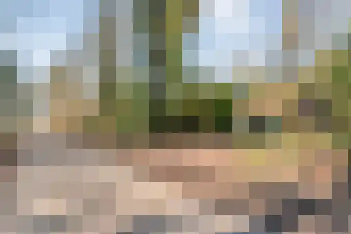 Hezenes 31 Diever thumbnail 7