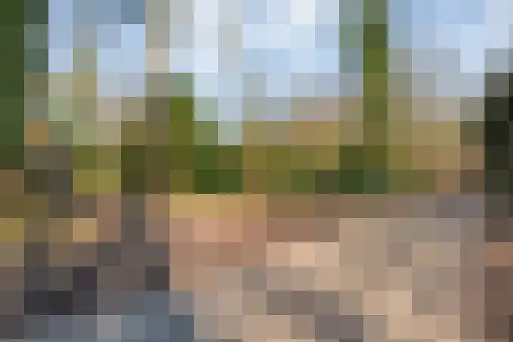 Hezenes 31 Diever thumbnail 8