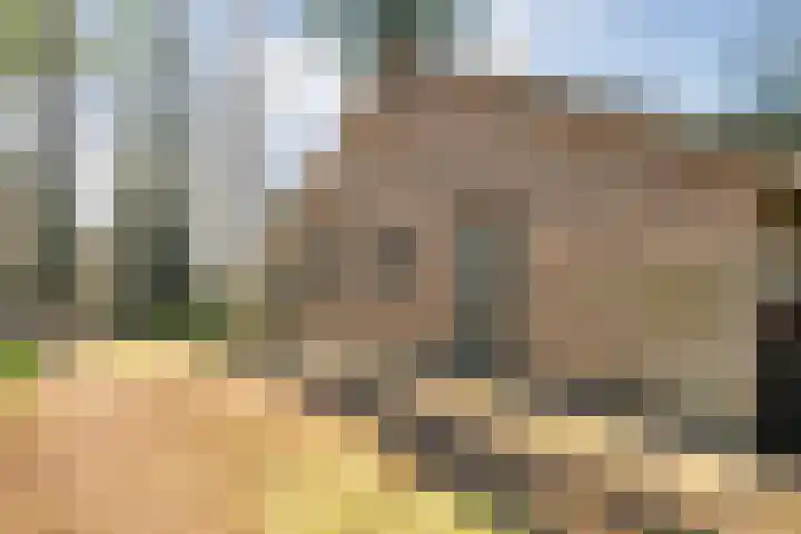 Hezenes 31 Diever thumbnail 9