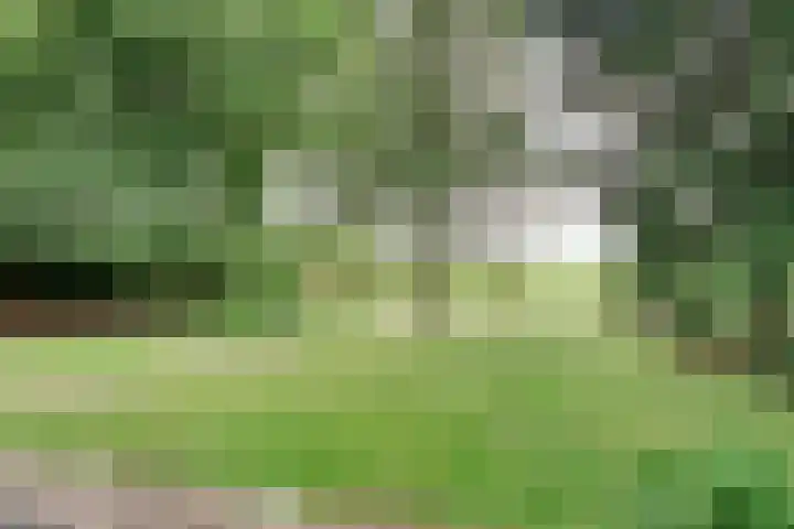 Hezenes 9 Diever thumbnail 12