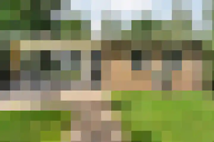 Hezenes 9 Diever thumbnail 13