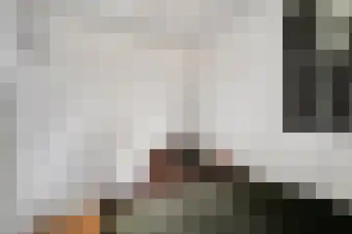 Hezenes 9 Diever thumbnail 22