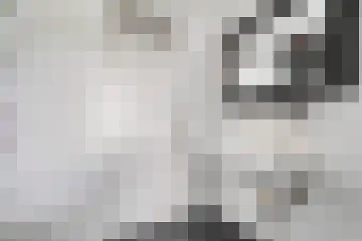 Hezenes 9 Diever thumbnail 24
